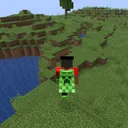 MRSurvivalMC