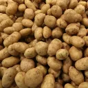 Potato cult