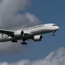 ✈フライトシム鯖 v0.1.2