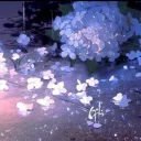 Solstice