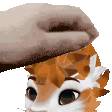 SamTheFlowerMan's server