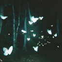 The Eclipse Discord server icon