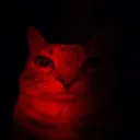 な•ᴘᴍꜰ†ꜱǫᴜᴀᴅ🥀 — Serveur Discord