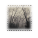 𖧧        𝙛𝙤𝙧𝙜𝙤𝙩𝙩𝙚𝙣  𝙢𝙚𝙢𝙤𝙧𝙞𝙚𝙨  .  .  . Discord server icon