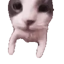 𝓿𝓵𝓸𝓷𝓮𝓬𝓸𝓻𝓭