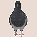 Pigeon Coop Discord server icon