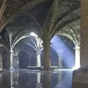dp