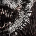 Song of Dragons discord icon