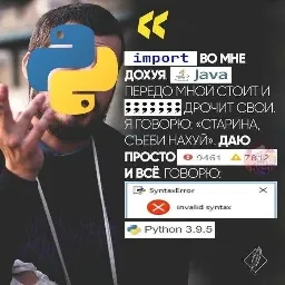 ДС СЕРВЕР РАЗРАБОТЧИКОВ ДСА РЕАЛЬНА(НЕФЕЙК) — мониторинг Discord сервера, статистика и рейтинг