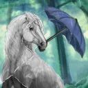 ☔ rᥲιᥒ ᥱxρᥣоrᥱrs ༄