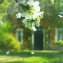 Peace Talk^^