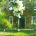 Peace Talk^^ Discord server icon