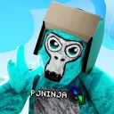 pjninja