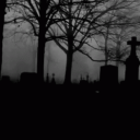 𝐍𝑒𝑐𝑟𝑜𝑝𝑜𝑙𝑖𝓈 𝟏𝟖+ Discord server icon