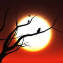 MoonLight Discord server icon