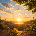 𝐒𝐔𝐍𝐒𝐇𝐈𝐍𝐄 🌤