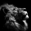 RodrigoMDW Discord server icon