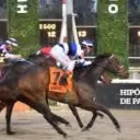 Servidor de HorseRacingArgentina