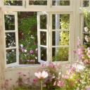 (13+) The Secret Garden! ꒰ ...