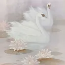 ◟﹕🦢﹒᥆ძᥱ𝗍𝗍ᥱ ﹒