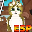 🎃Meowl Association |Esp