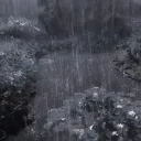 Petrichor