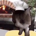 zo's cozy kitchen Discord server icon