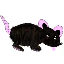 !We're The RATS! >w<