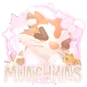 ╰⌒⌒🍥 ／ ꒰‧₊˚𝐓𝐡𝐞 𝐌𝐮𝐧𝐜𝐡𝐤𝐢𝐧𝐬 ₍^. .^₎⟆