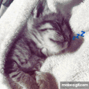 ⋆. 𐙚 ˚𝑨𝒏𝒈𝒆𝒍𝒔⋆. 𐙚 ˚