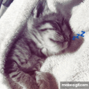 ⋆. 𐙚 ˚𝑨𝒏𝒈𝒆𝒍𝒔⋆. 𐙚 ˚ Discord server icon