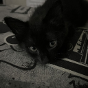 The Archive Discord server icon