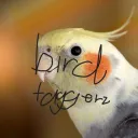 Bird Taggerz | Soon