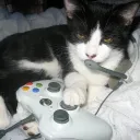 Cat Cafe Gamer Community