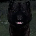 Wolfquest adoption agency