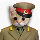 КОТЫ ГЕНЕРАЛЬСКИЕ