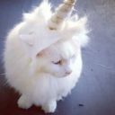 ❀ • 𝒓𝒆𝒏𝒇𝒖𝒆。 Discord server icon