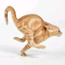 PEAK Discord server icon