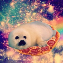 𑣲 Seal club ˚ · . 17+🦭 Discord server icon