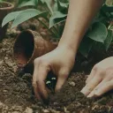 ˖ 𑣲 little gardeners 🪴