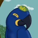 Portuguese & English Lounge