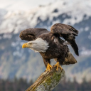 Democratic Republic of The 59 Larpers! Discord server icon