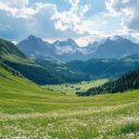 SycamoreClan | WCRP Discord server icon