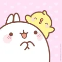 molang