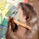 Maya's Otter Brigade