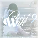 chatWme | RT : 250
