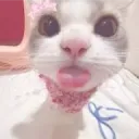 RoGays