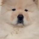 운뇸뇸 🩵 소통게임방꒰ ⸝⸝ɞ̴̶̷ ·̮ ɞ̴̶̷⸝⸝
