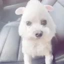I’ll be your friend