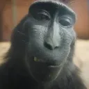Chatting Server